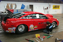 Allan Paterson's Cobalt in for Freshen Up